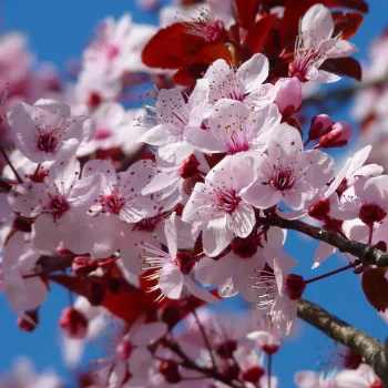 Goed zorgen voor jezelf en tijd nemen voor ontspanning. VdE Coaching helpt om de balans te herstellen.