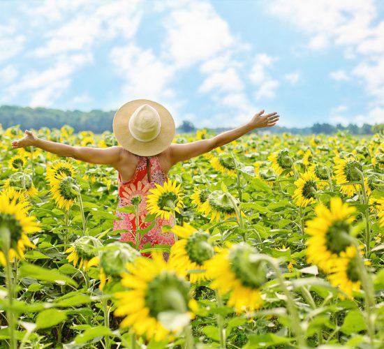 Het ACTief in balans traject voor meer rust en leven in vrijheid