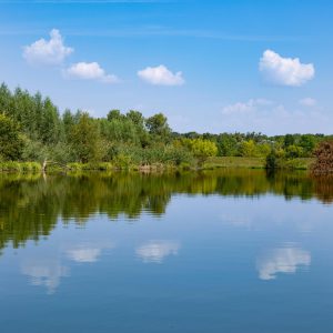 Hypnose & Regressie bij VdE Coaching in Zwijndrecht. Ontspanning, Relax, trance, Angst aanpakken, burn-out, pijnklachten verlichten, gewichtbeheersing. Hypnotherapeut, Regressietherapie, persoonlijke ontwikkeling, SOLK, HSP, zelfvertrouwen