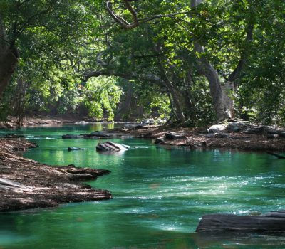 Loop je vast in oude patronen, stress of twijfel? Met holistische coaching helpt VdE Coaching Zwijndrecht vrouwen inzicht, rust en vertrouwen terug te vinden. Ontdek wat jou tegenhoudt en zet de volgende stap vooruit.